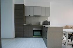 The Florence Residences (D19), Apartment #460270261